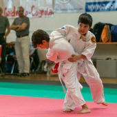 Critelli-Judo-3259